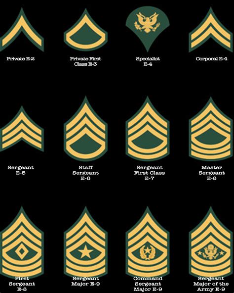 Army Army Enlisted Ranks