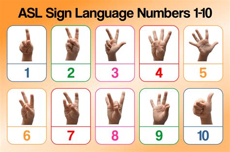 Asl Numbers 1 20 Printable Printable And Enjoyable Learning