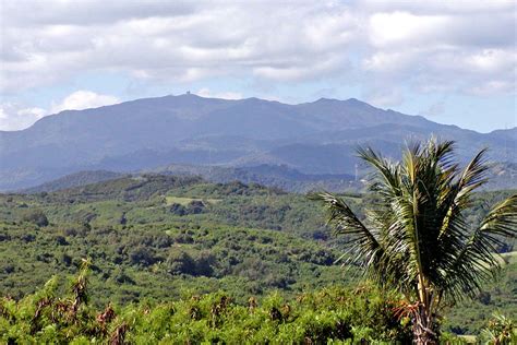 Filepuerto Rico El Yunque 6 Wikipedia