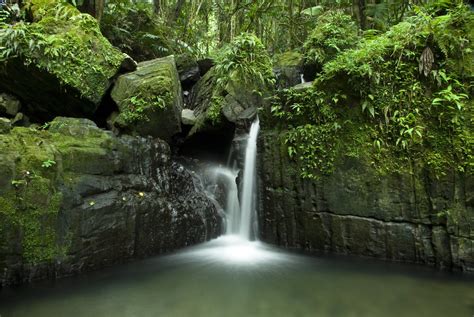 Waterfall El Yunque Forest Puerto Rico Explore 30th Augu Flickr