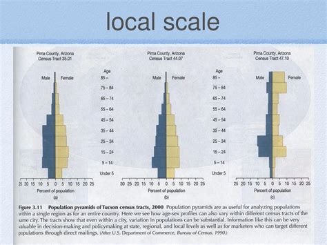 Population Pyramids Age Sex Graphs Ppt Download