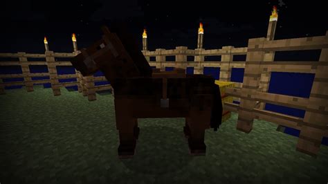 Horse Saddle Minecraft