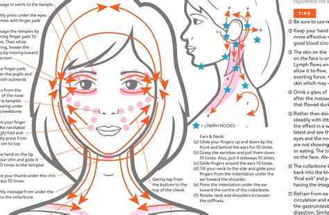 Facial Lymph Massage Direction Guide Poster Printable Etsy