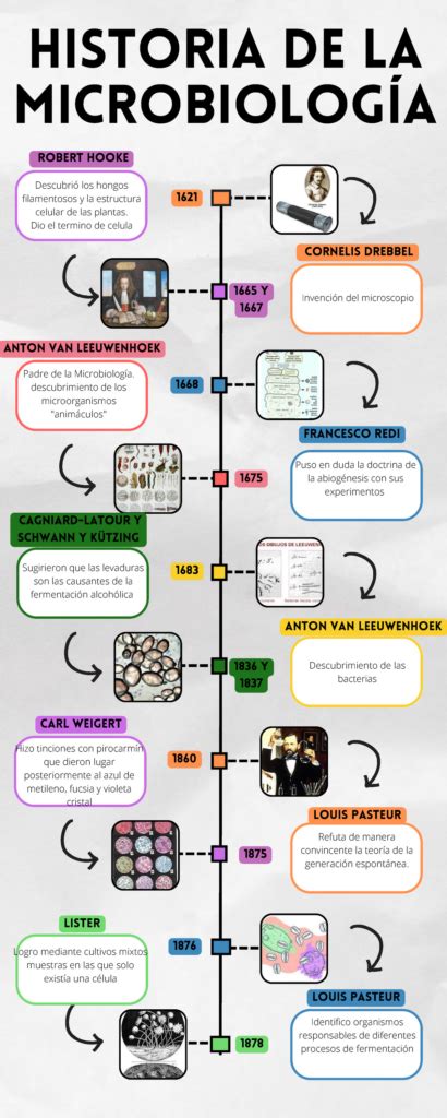 Historia De La Microbiolog A L Nea Del Tiempo Hasta La Actualidad