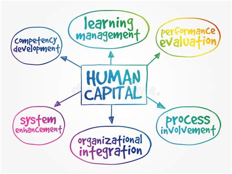 Human Capital Business Diagram Stock Illustrations 181 Human Capital