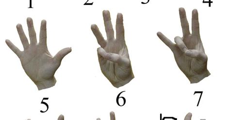 Asl Number Chart Printable