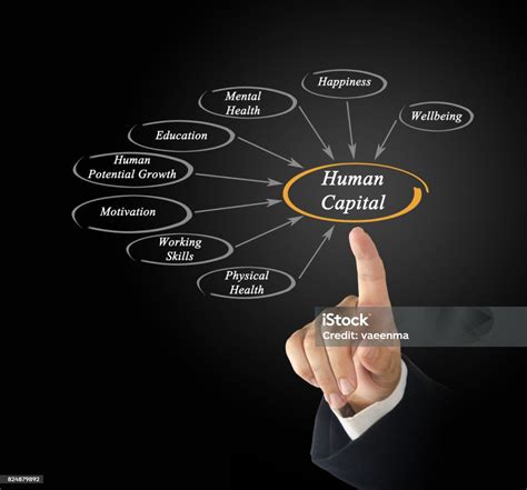 Diagram Of Human Capital Stock Photo Download Image Now Adult