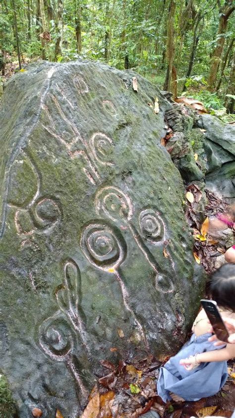 Sobre El Yunque Ccp