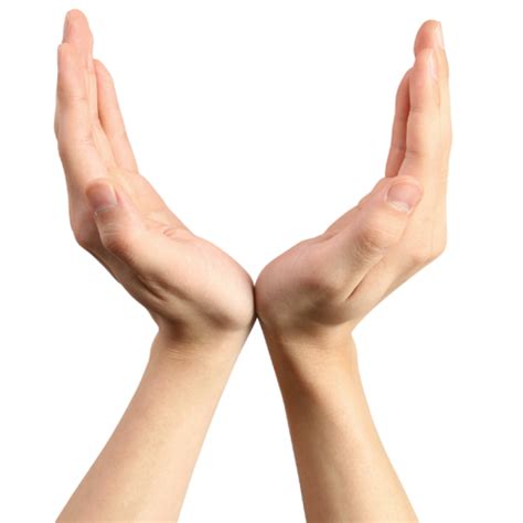 Hand Png Image Purepng Free Transparent Cc0 Png Image Library