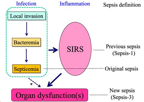 Sepsis Pathophysiology Diagram