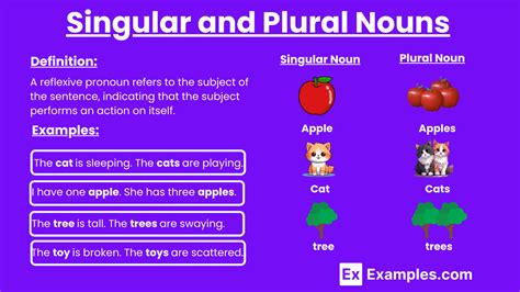 Singular And Plural Nouns Rules And Example Englishan Singular And