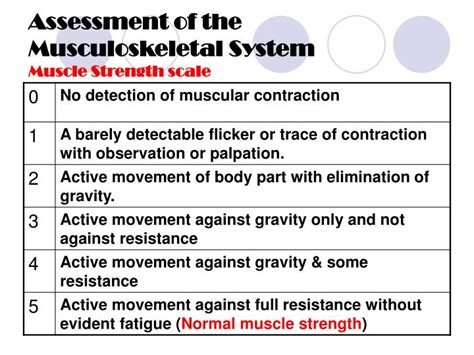 Ppt Assessment Of The Musculoskeletal System Powerpoint Presentation