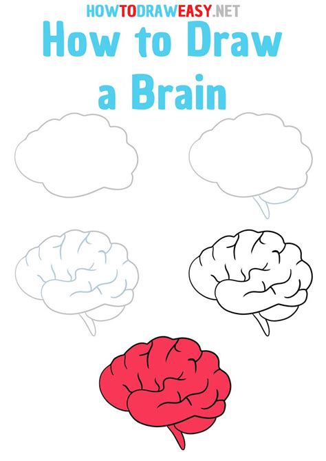 How To Draw A Brain Easy Artofit