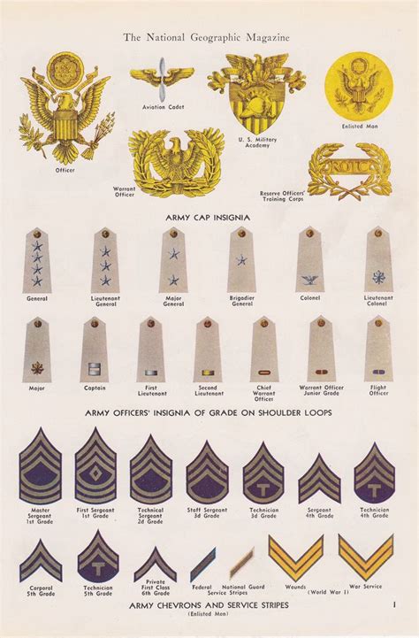 World War 2 Us Navy Rank Insignia Postersjopu