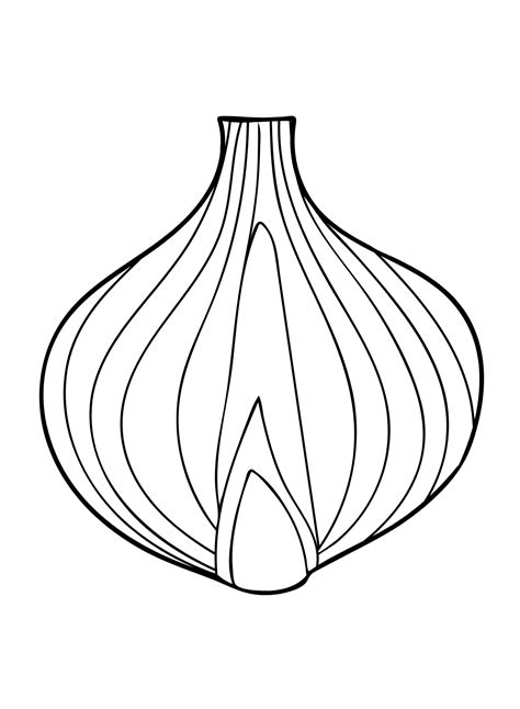 Onion Printable Coloring Page Free Printable Coloring Pages