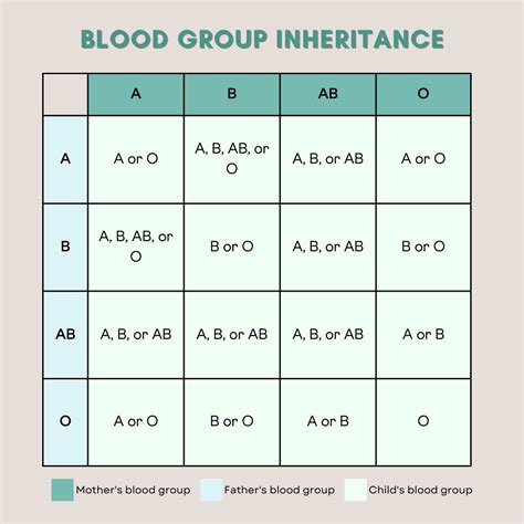 Blood Type Chart What Are The Different Blood Types 59 OFF