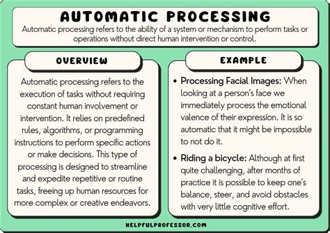 18 Automatic Processing Examples 2024