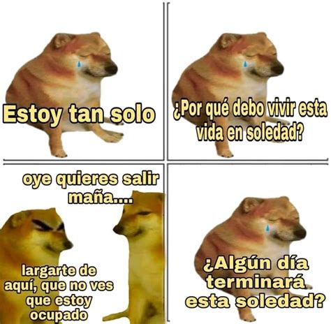 Memes Cheems En Memes Divertidos Memes C Micos Chistes Graciosos The