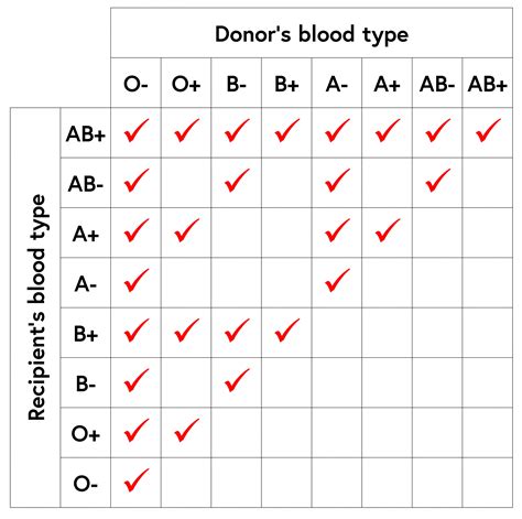 Blood Type Chart And Information On Blood Group Types