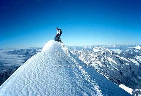 Climbing On The Summit Ridge Of Mount Mt Cook Aoraki Photo By