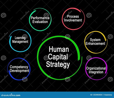 Human Capital Strategy Stock Illustration Illustration Of Resource