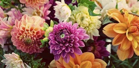 See more ideas about floristry, flowers, floral arrangements. About Love 'n Fresh Flowers