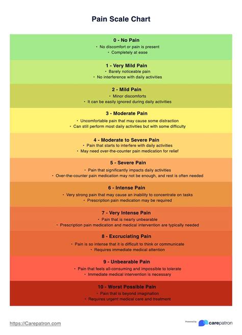 Pain Level Chart And Example Free Pdf Download