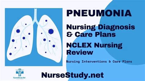 Pneumonia Nursing Diagnosis And Care Plan NurseStudy Net