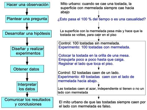 11 Ejemplos De Método Científico Explicados 2024