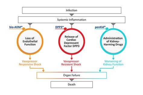 Sepsis Schematic