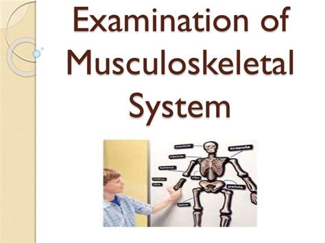 Examination Of Musculoskeletal System