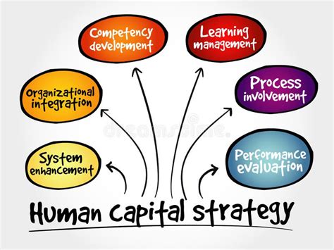 Human Capital Strategy Mind Map Stock Illustration Illustration Of