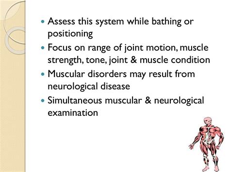 Examination Of Musculoskeletal System