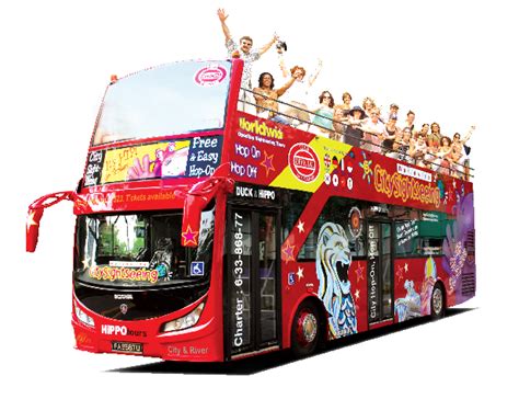 Download City Studios Singapore Bus Universal Tour Duck Clipart Png