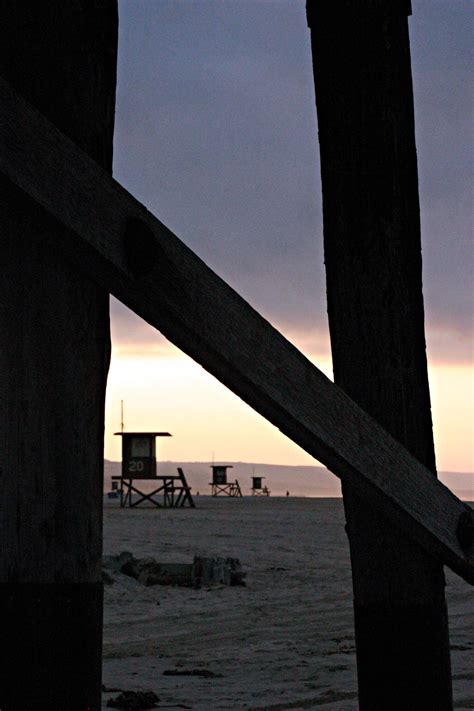 Free Photo Evening At The Beach Beach Birds Black Free Download