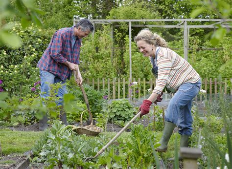 Planning And Planting A Vegetable Garden