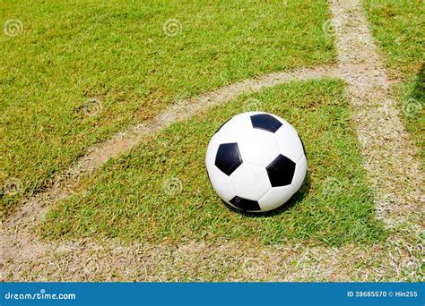 Soccer Ball Ready To Shoot In The Goal Stock Photo Image Of Black