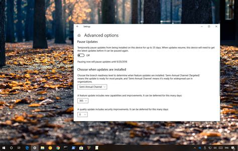 How To Prevent Windows 10 From Installing The October 2018 Update