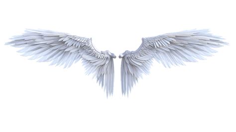 Fairy Wings Png Hd Png Mart