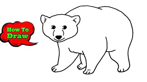 How To Draw A Polar Bear Easy Step By Step Polar Bear Drawing