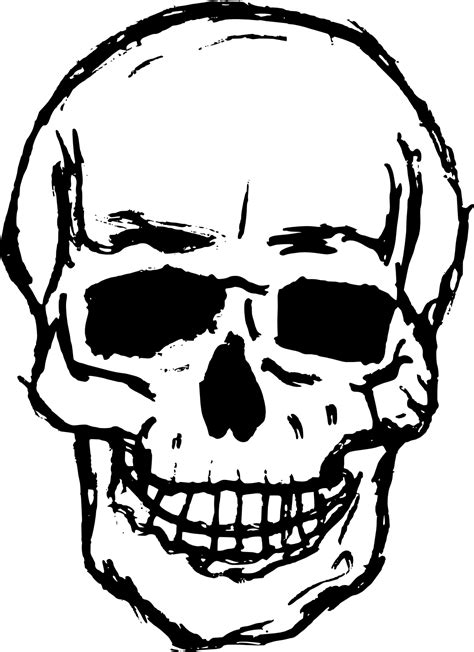 8 Skull Drawing Vector SVG PNG Transparent OnlyGFX