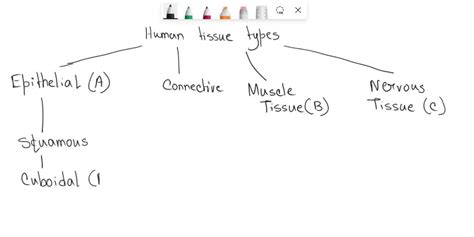 SOLVED The Flowchart Below Indicates Which Term Each Letter In The