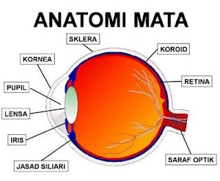 Alat Optik Pengertian Macam Gambar Rumus Contoh Soal Dan