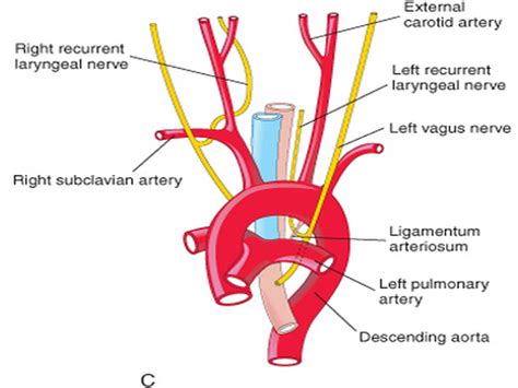 Mbbs Medicine Humanity First December 2013