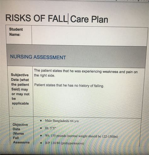 Solved RISKS OF FALL Care Plan Student Name NURSING Chegg