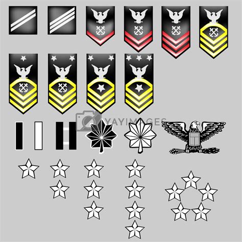 Us Navy Rank Insignia For Officers And Enlisted In Vector Stock Vector