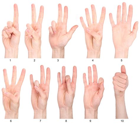 American Sign Language Numbers 1 100 Printable