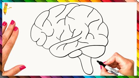 How To Draw The Human Brain Step By Step Brain Drawing Easy