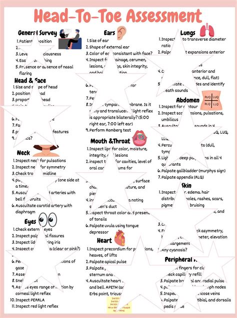 Head To Toe Assessment Cheat Sheet Pdf Digital Nursing Study Etsy