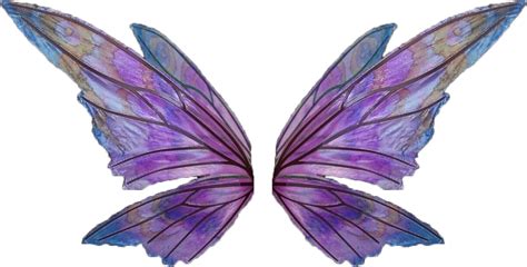 Fairy Wings Png Transparent Png Download